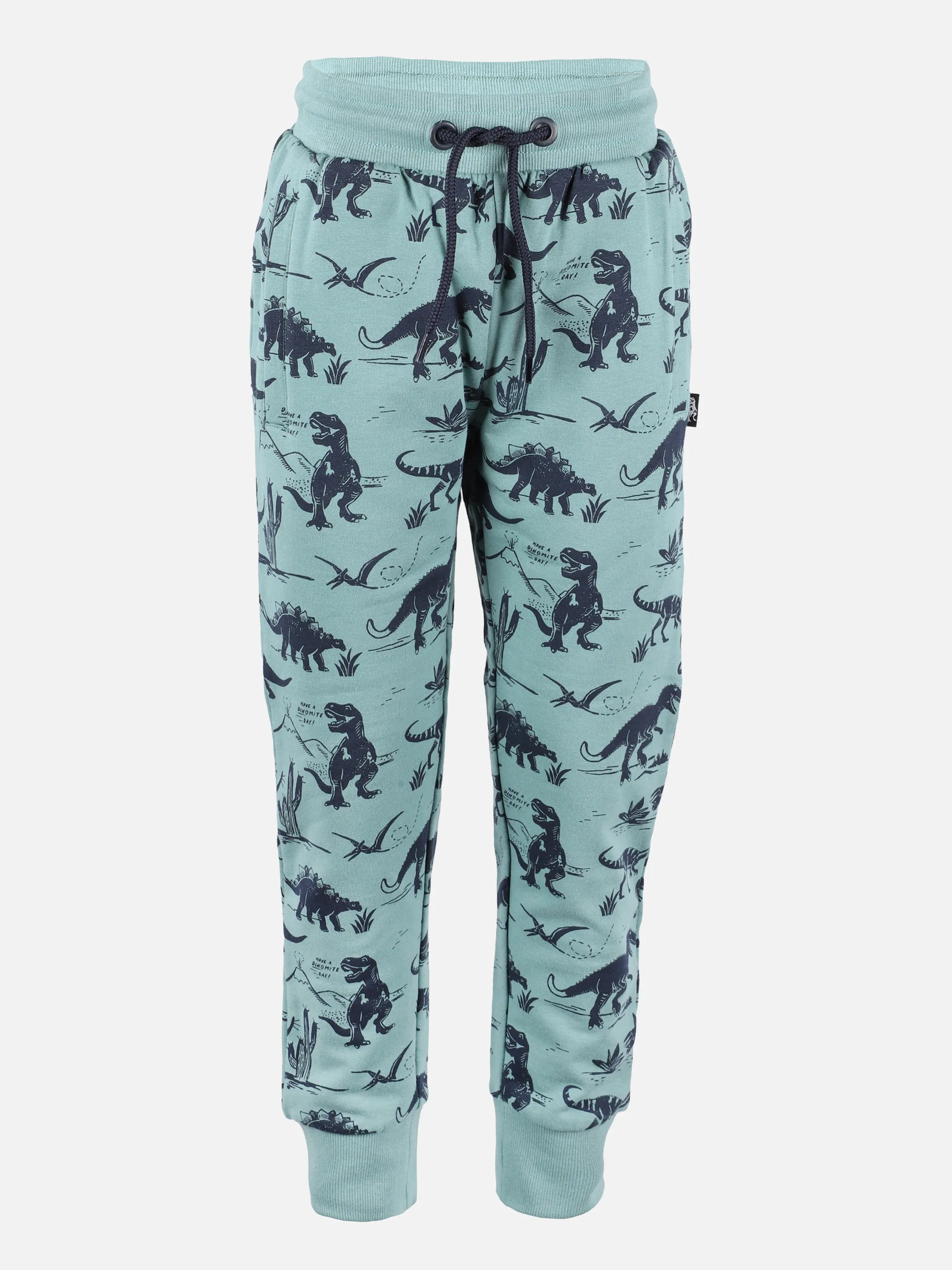 Jungen Jogginghose mit Dinomotiven