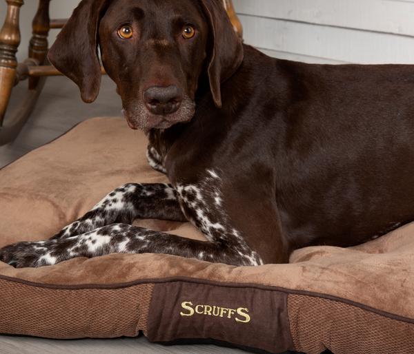Scruffs Hundekissen Chester Matress