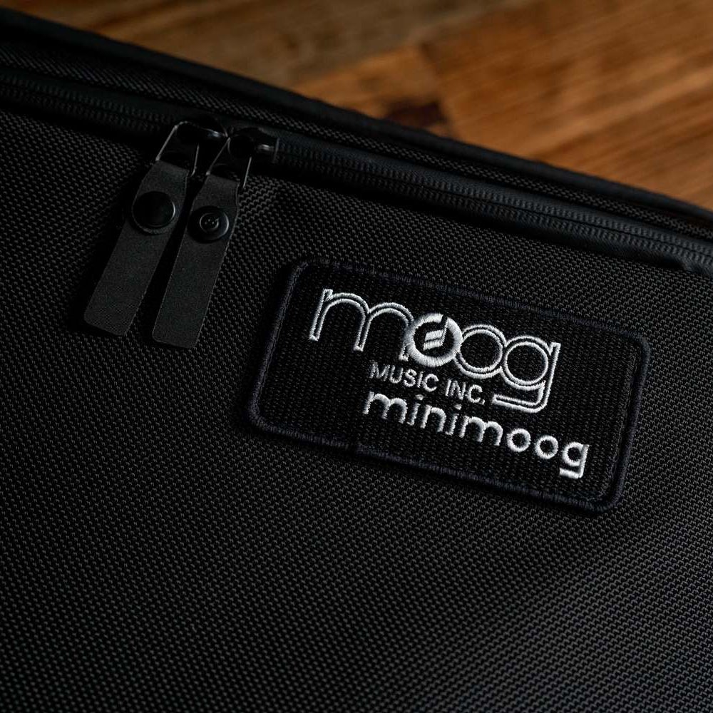 Moog Model D SR Case