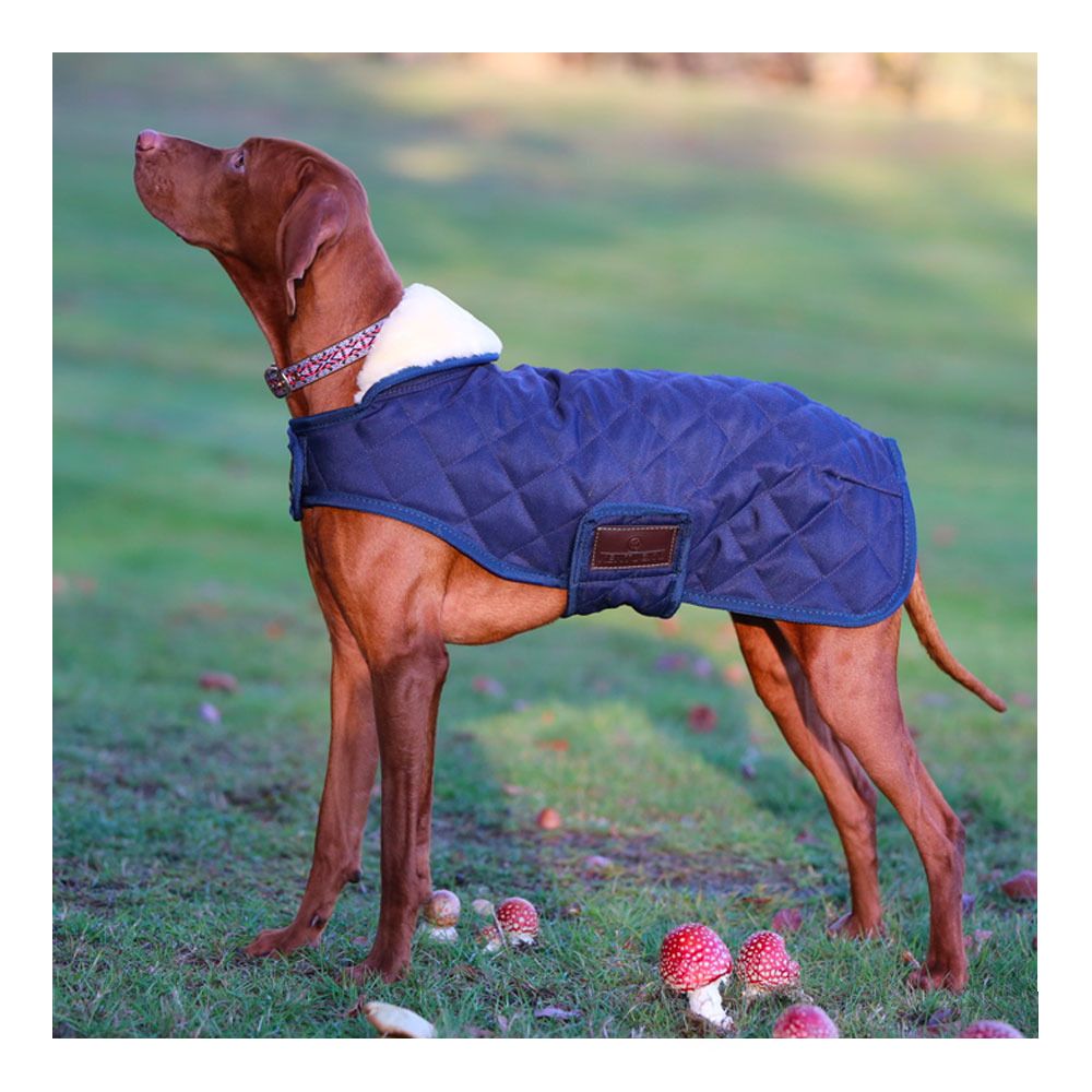 Kentucky ORIGINAL 160G - Couverture pour chien navy
