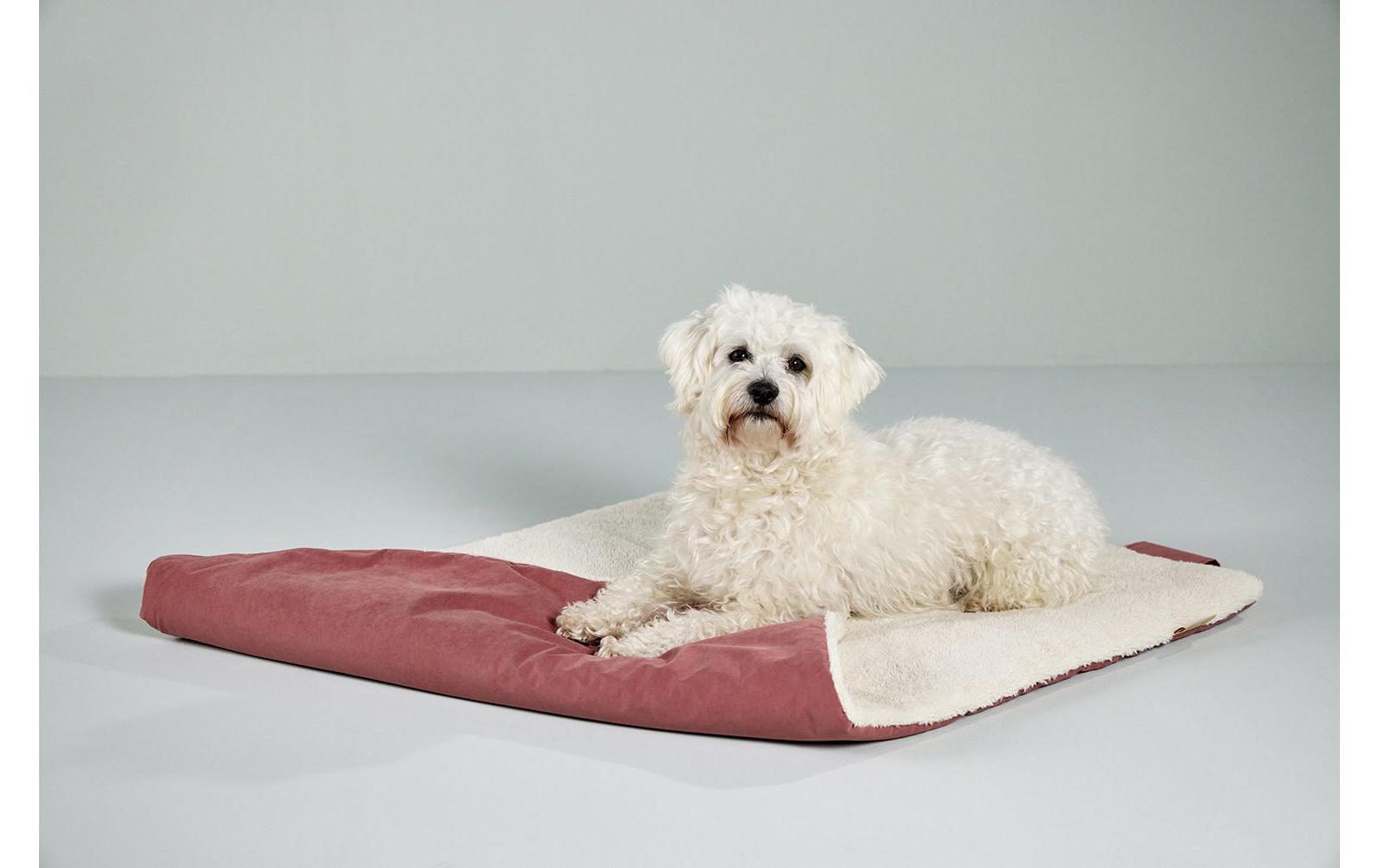 Hunde-Decke Vagabund, 100 x 70 cm, RostReisedecke