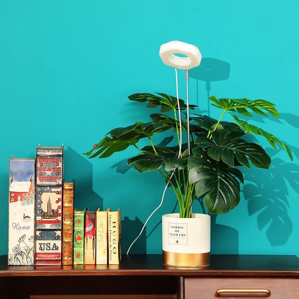 INF Hexagon Grow Lights for innendørs planter Varm hvit/hvit