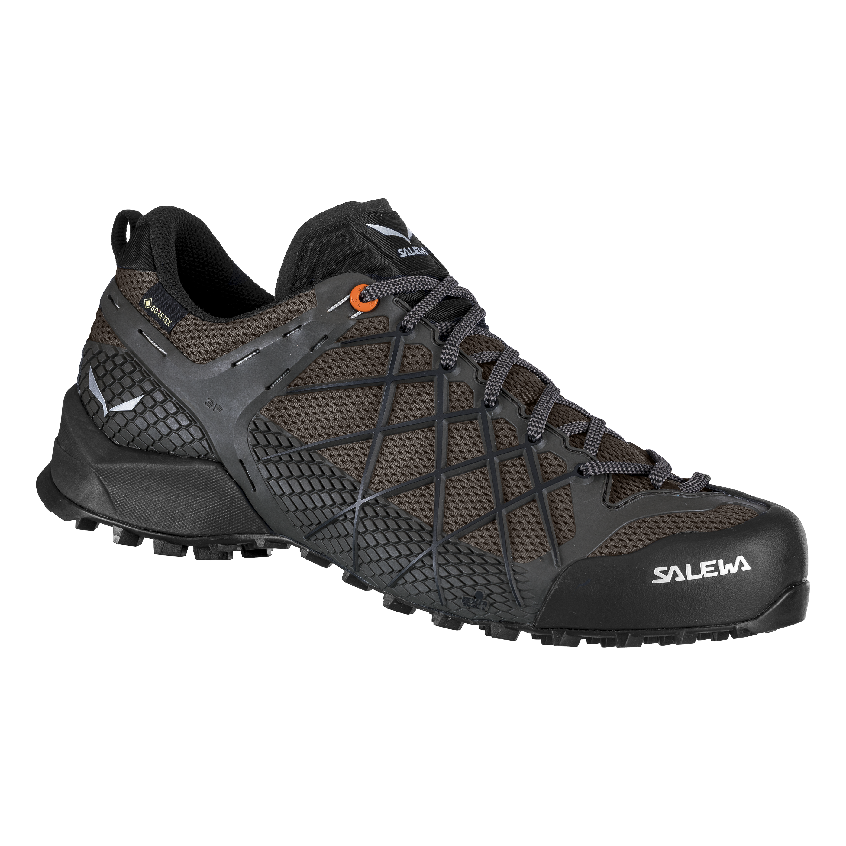 Wildfire Gore-Tex® Herren Schuhe
