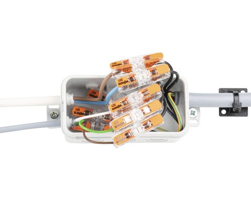 Wago 221-2411 Doorvoerconnector 0,2-4mm² 2-aderige hefboomklem 60 stuks