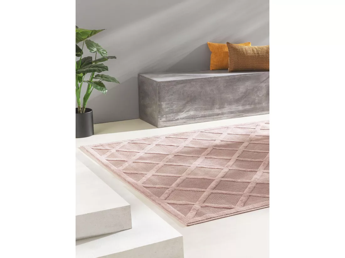 Tapis d'extérieur & intérieur Bonte Rose 200x290 cm