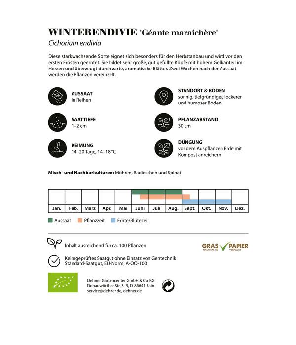 Dehner Bio-Saatgut Winterendivie 'Géante