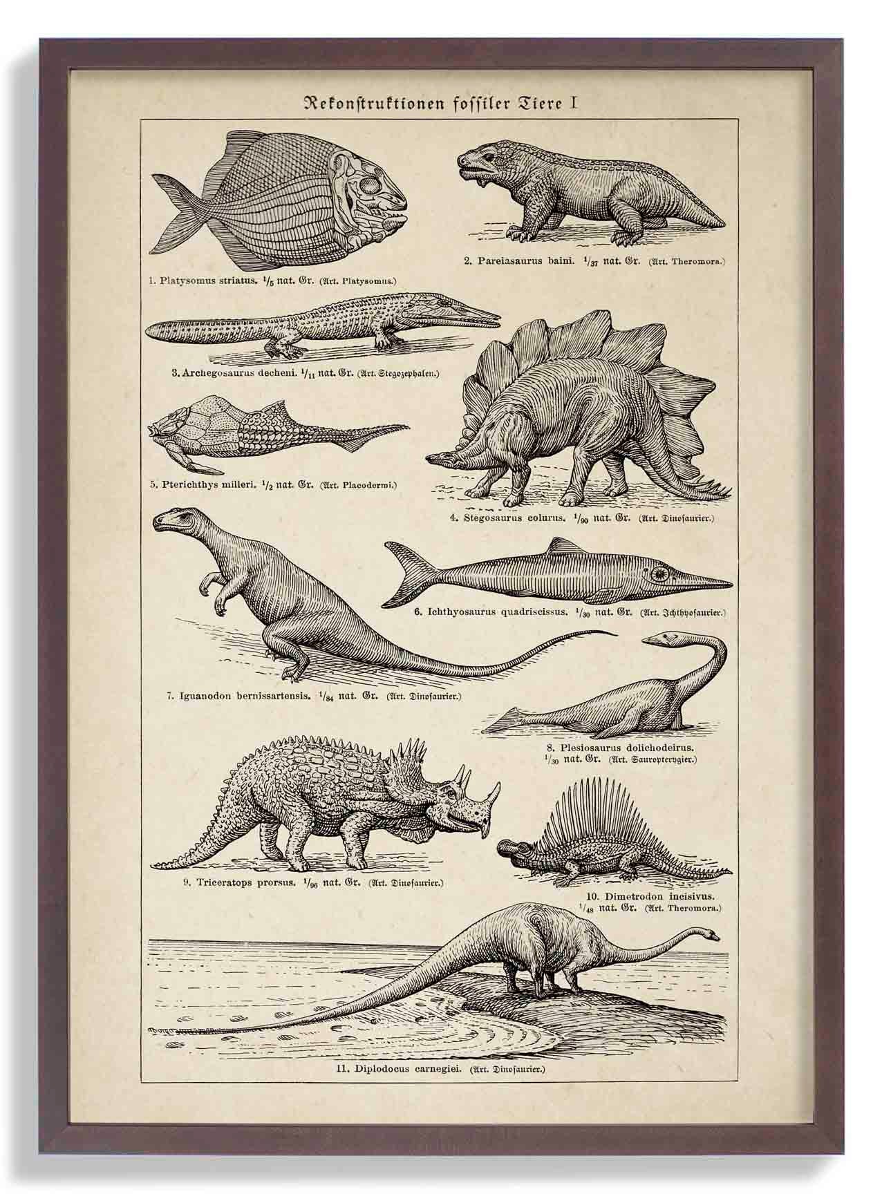 Antike Dinosaurier und Fossilien