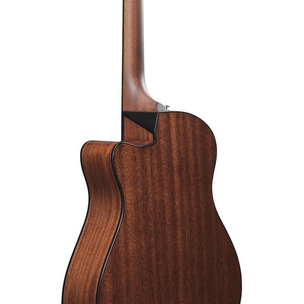 Ibanez AAM300CE-NT