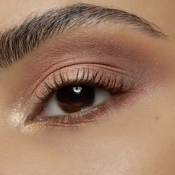 lash without limits extreme lengthening & volume mascara 02 brown