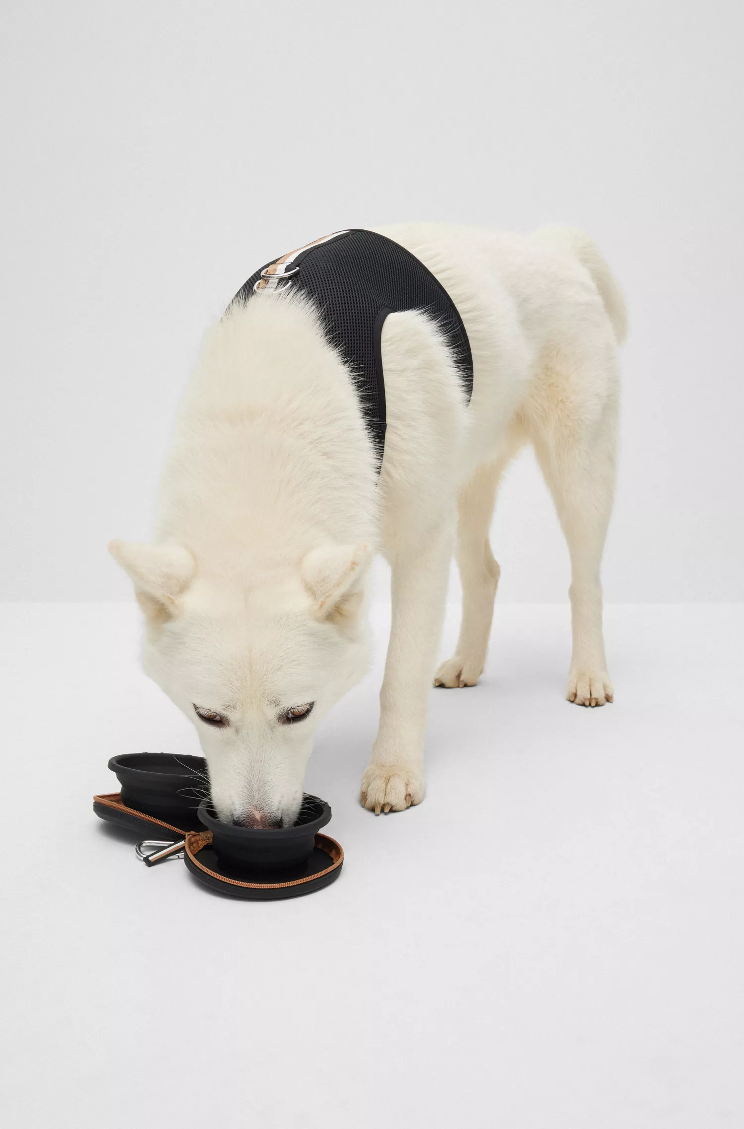 Tigelas dobráveis pretas para cães BOSS em silicone com estojo com zíper