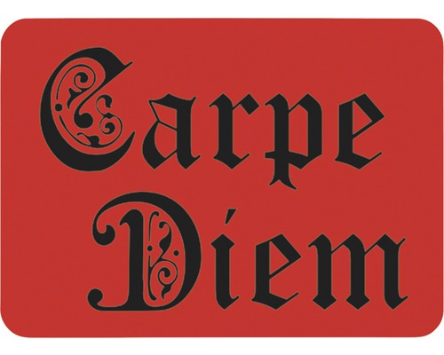 Decoratief sjabloon Carpe Diem 56 x 43 cm