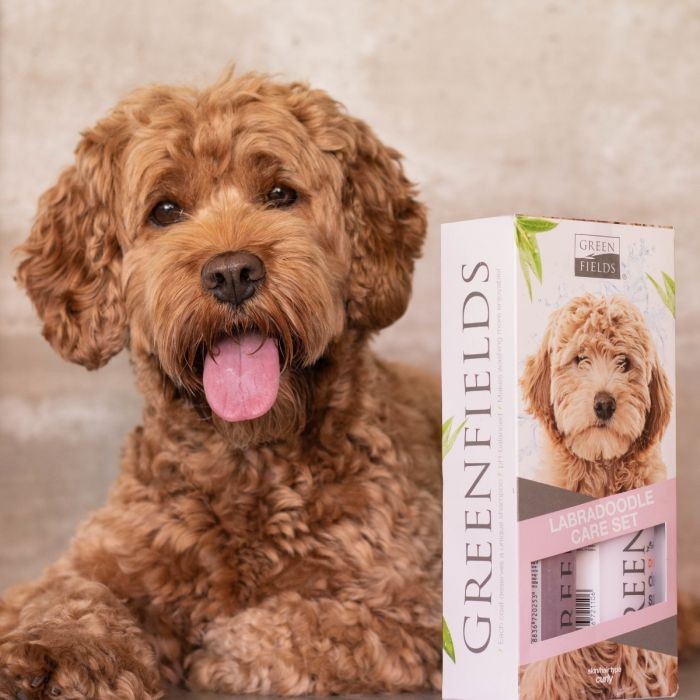 Greenfields - Labradoodle Care Sæt 2x250ml
