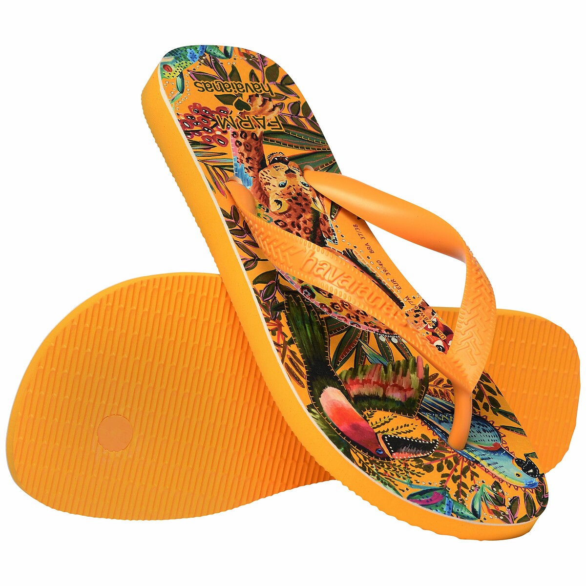 HAVAIANAS<br>Chinelos x Fazenda Rio Selva