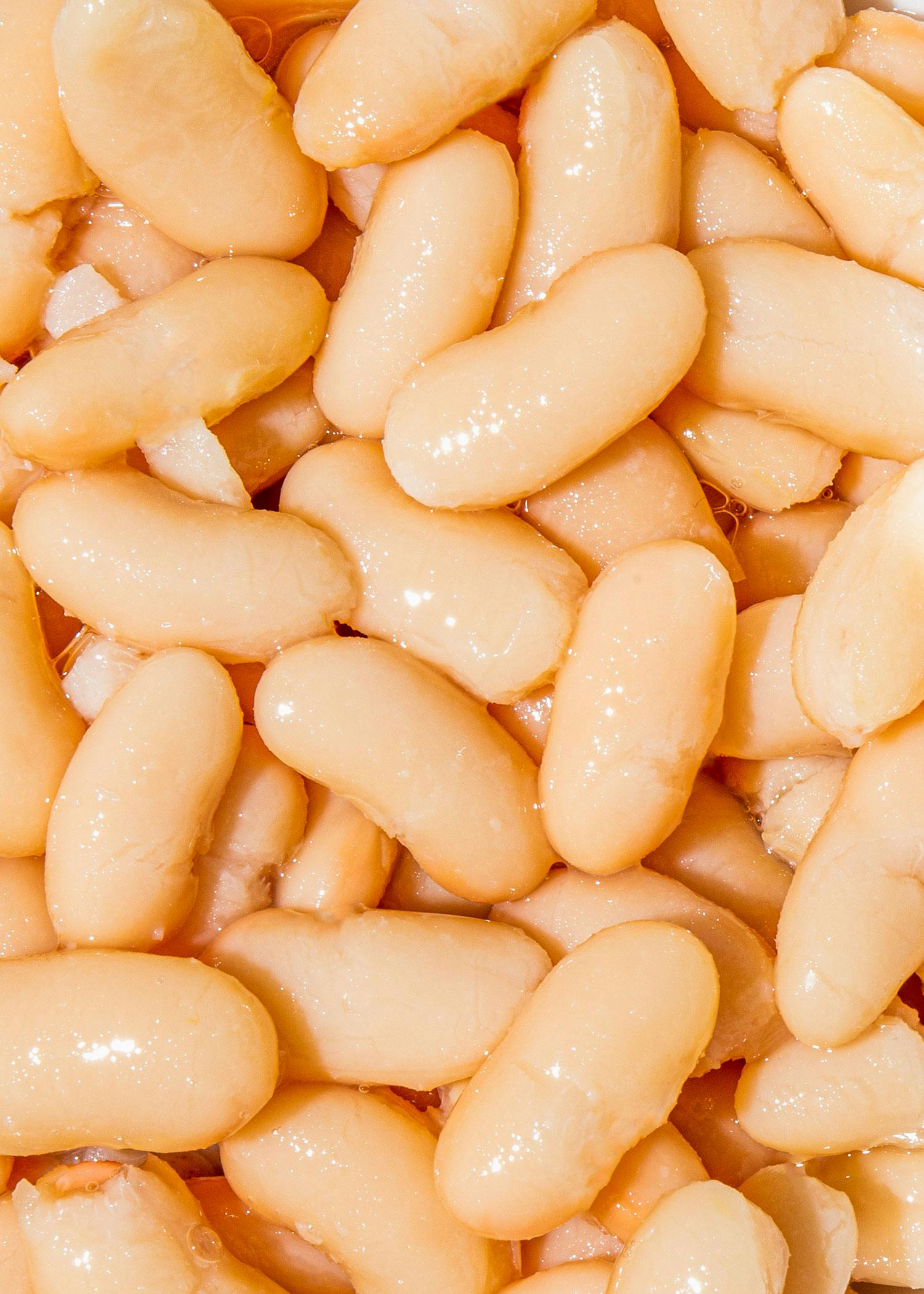 Weiße Bio Cannellini Bohnen in der Dose 240 g