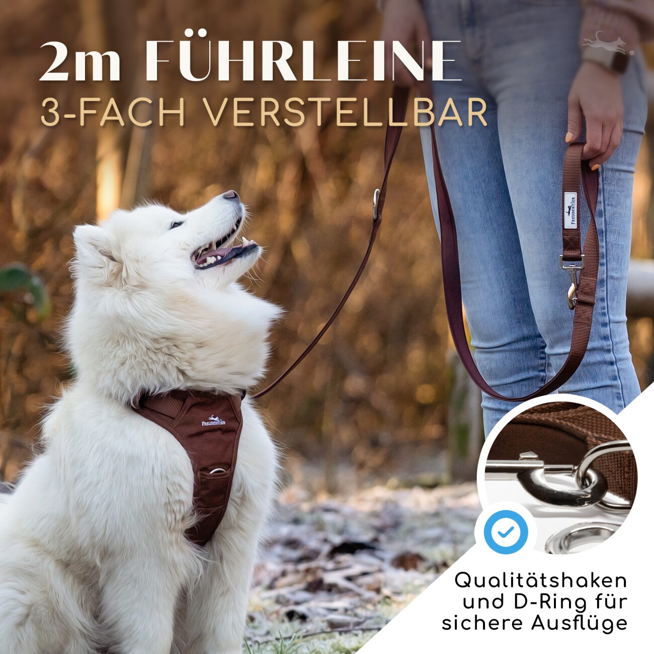 Freudentier Hundeleine 2m, gepolstert & verstellbar braun 2 cm