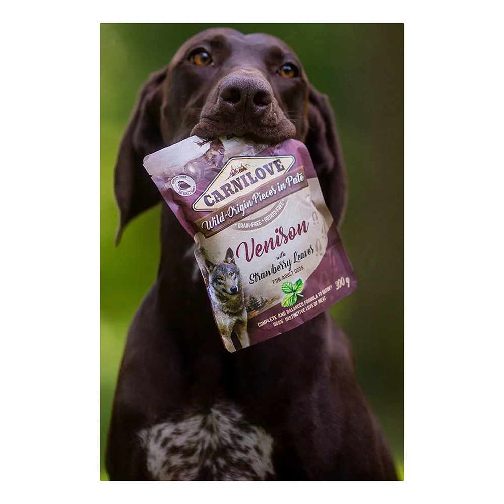 Carnilove Pouch Pate vådfoder, vildt m. jordbærblade - 300g.