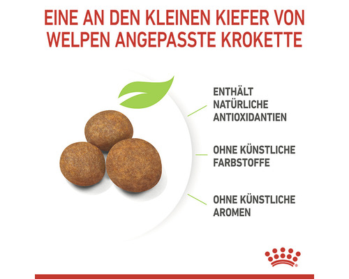 ROYAL CANIN Maxi Puppy droogvoer voor puppy's van grote rassen, 15 kg