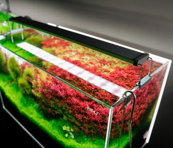 Chihiros Aquariumbeleuchtung LED-System B