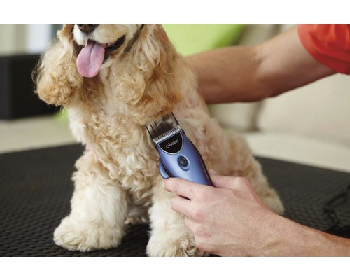 Oster 220V blauwe tondeuseset voor huisdieren