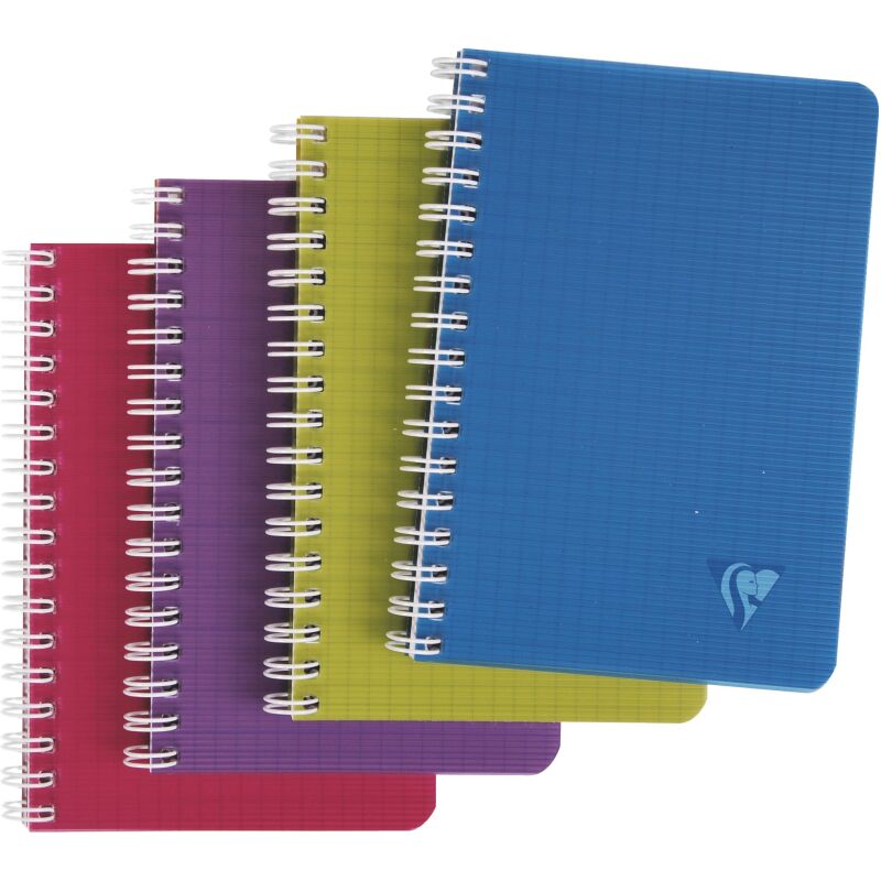 Carnet spirale Linicolor format 9 x 14 cm petits carreaux 100 pages