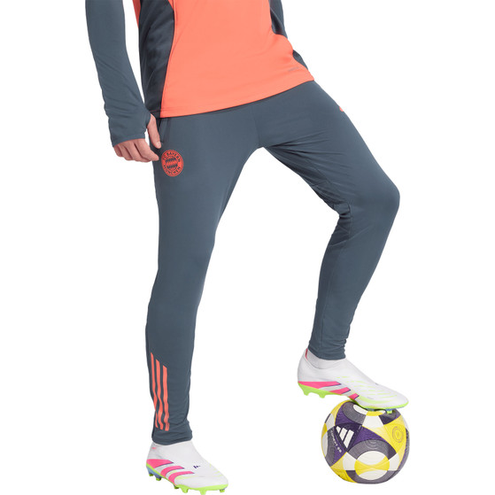 adidas Bayern München Training Pant 2025/2026