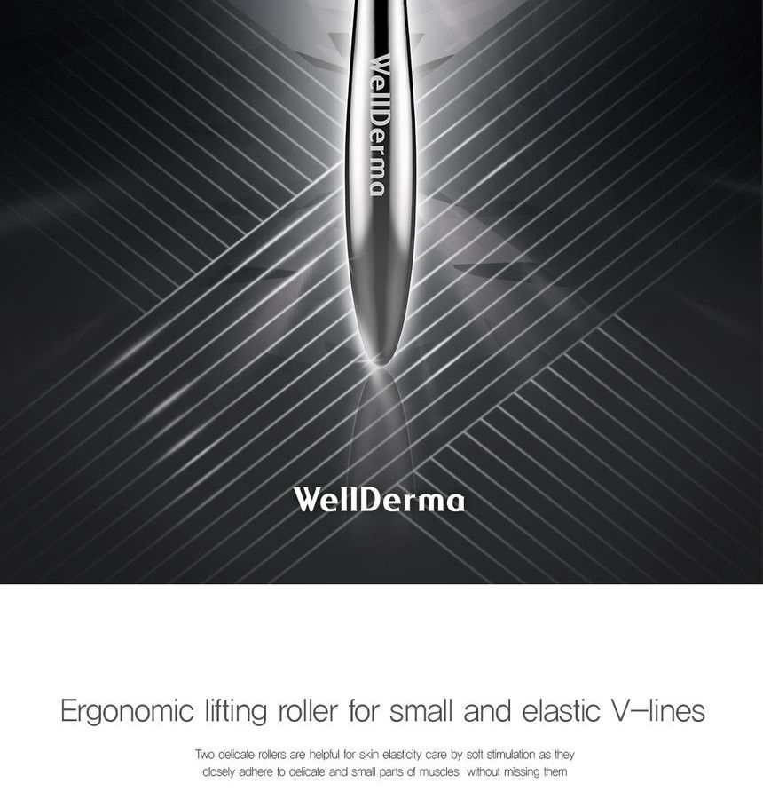 WellDerma - Gezichtsliftende Donkerzilveren Roller