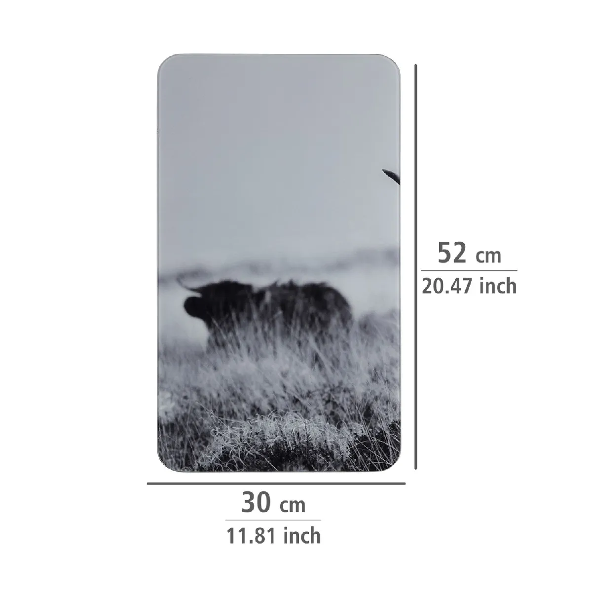 WENKO Plaques de protection Highland Cattle