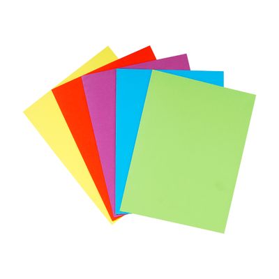 Exacompta Nature Future - 25 Chemises double poche - 220 gr - couleurs assorties