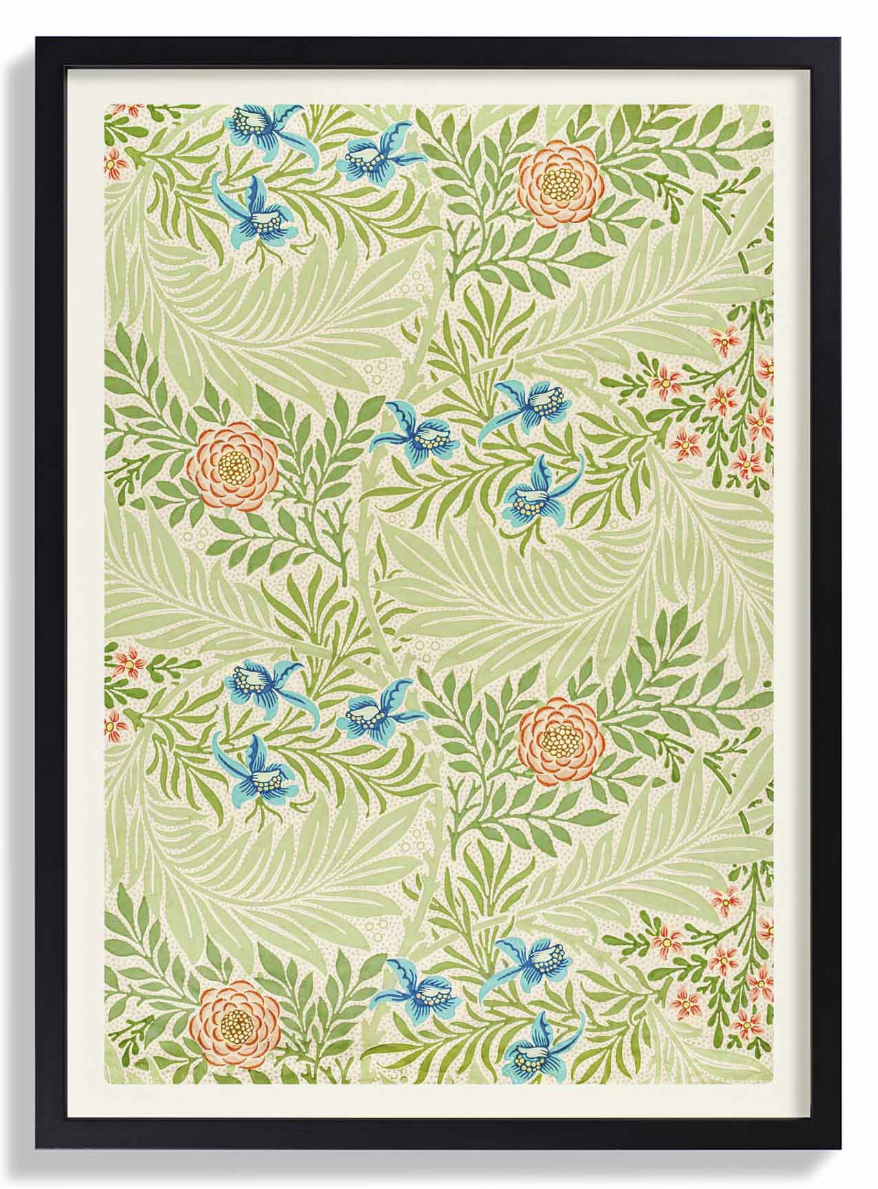 William Morris Rittersporn II