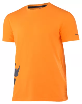 KilimanjaroLOGO - orange