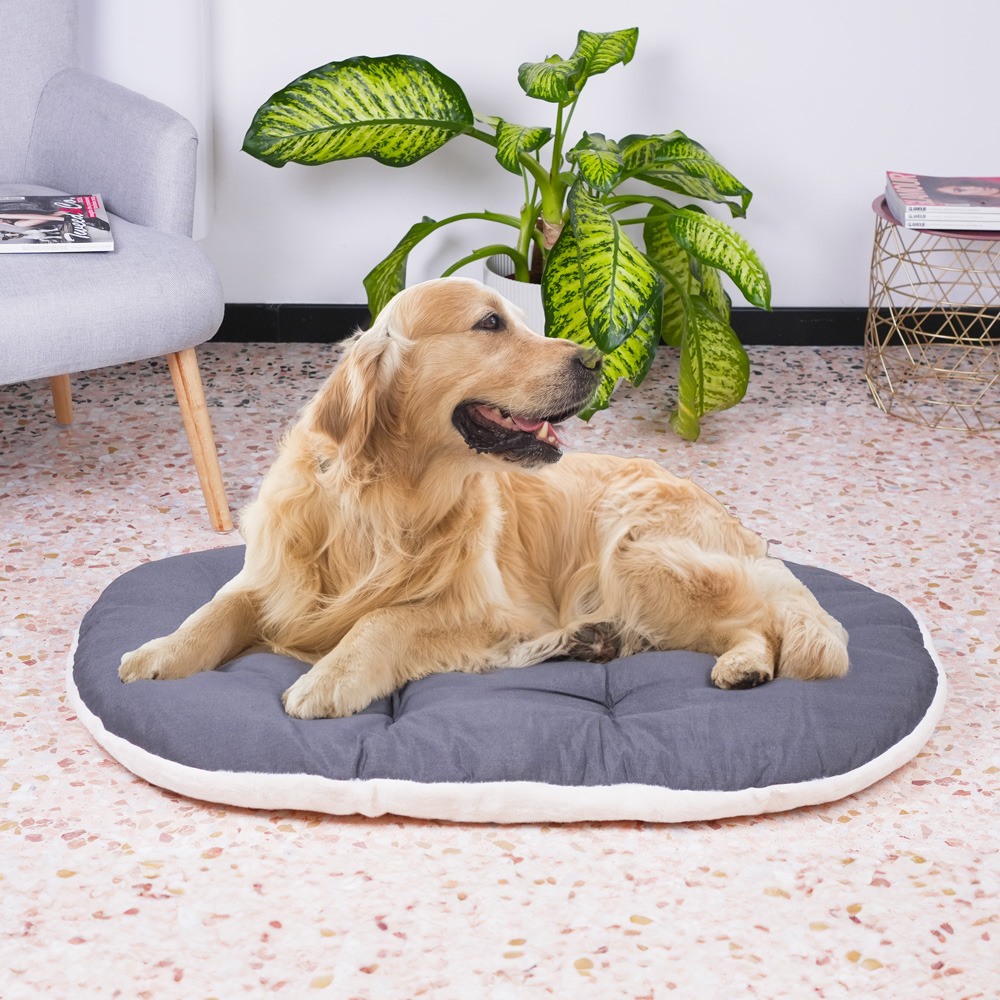 Ferplast coussin chien relax 100/12, lit pour chiens, animaux domestiques, coussin chien grande taille, matelas, coussin rembourré