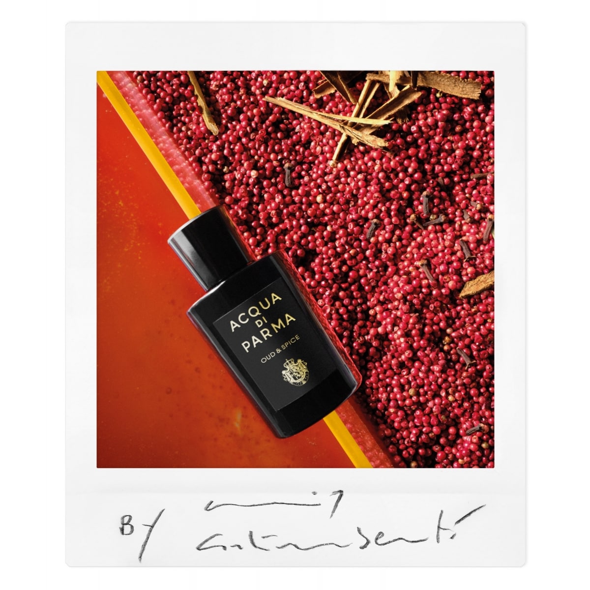 ACQUA DI PARMA Signature Oud &  SpiceEau de Parfum