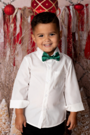 Little boys blouse - wit (exclusief stropdas)