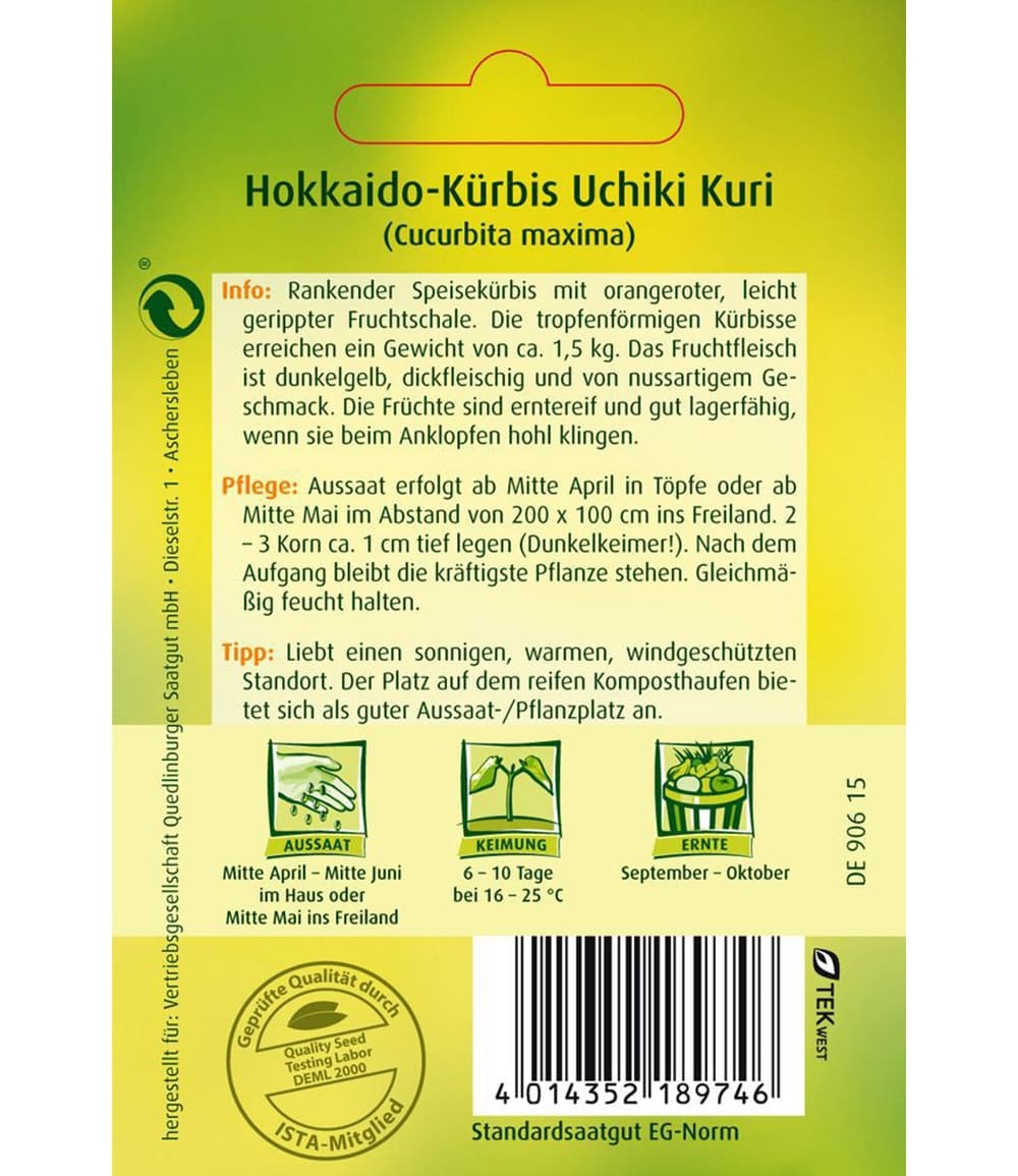 Speisekürbis 'Uchiki Kuri'