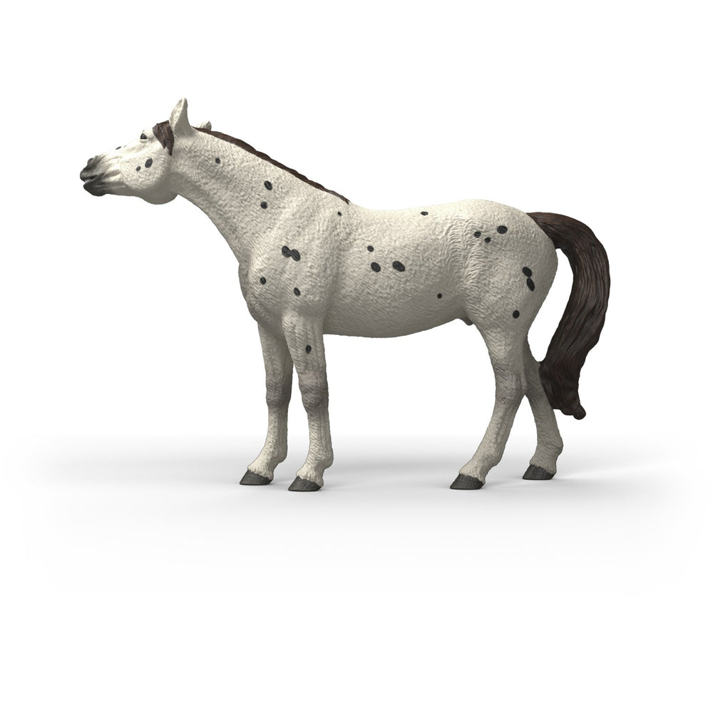 Køb Schleich Knabstrupper Vallak
