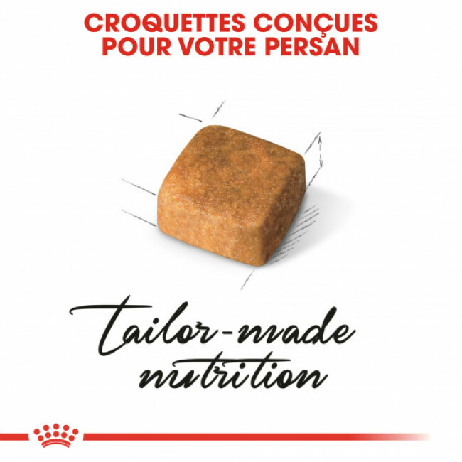 Croquettes pour chaton Royal Canin Persian Kitten
