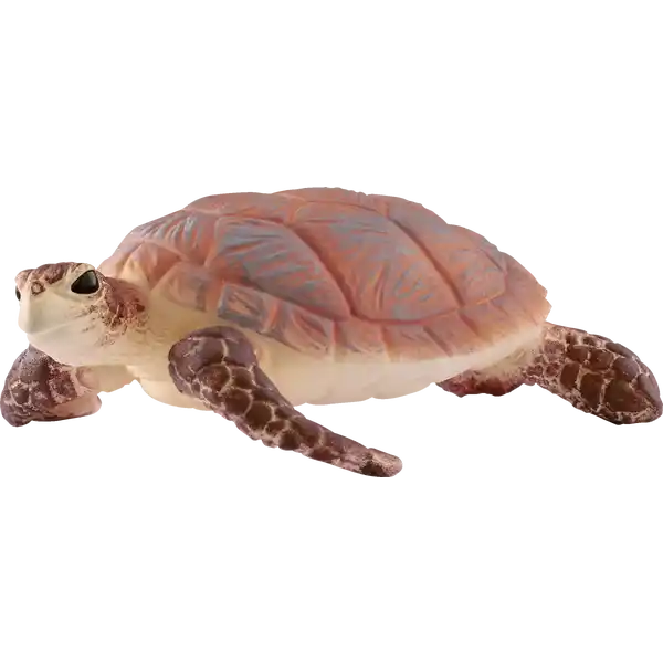 14876 Echte Karettschildkröte