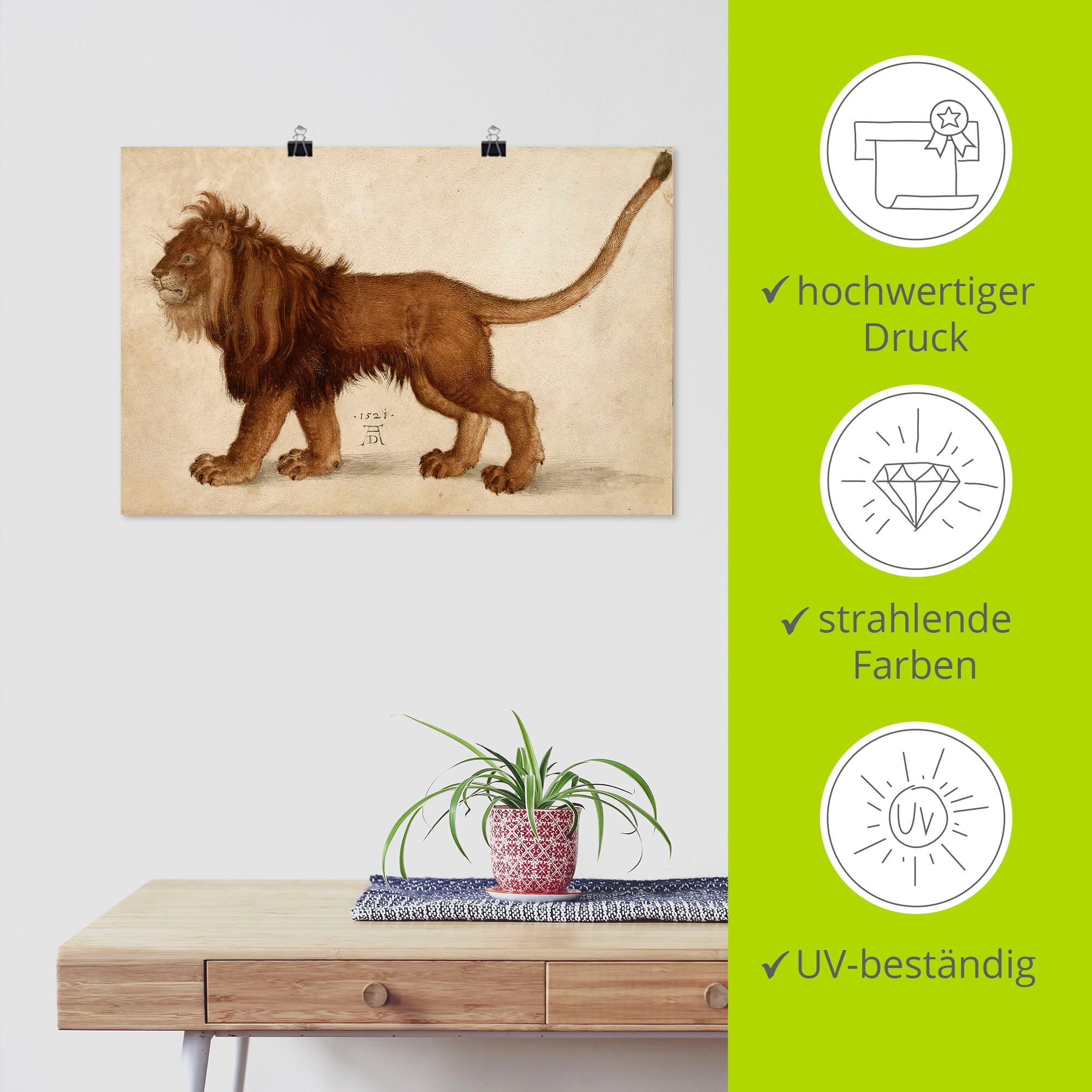 Artland Poster »Löwe. 1521« Raubkatzen 1 Stk. tlg. als Alubild, Leinwandbild, Wandaufkleber oder Poster in versch. Grössen