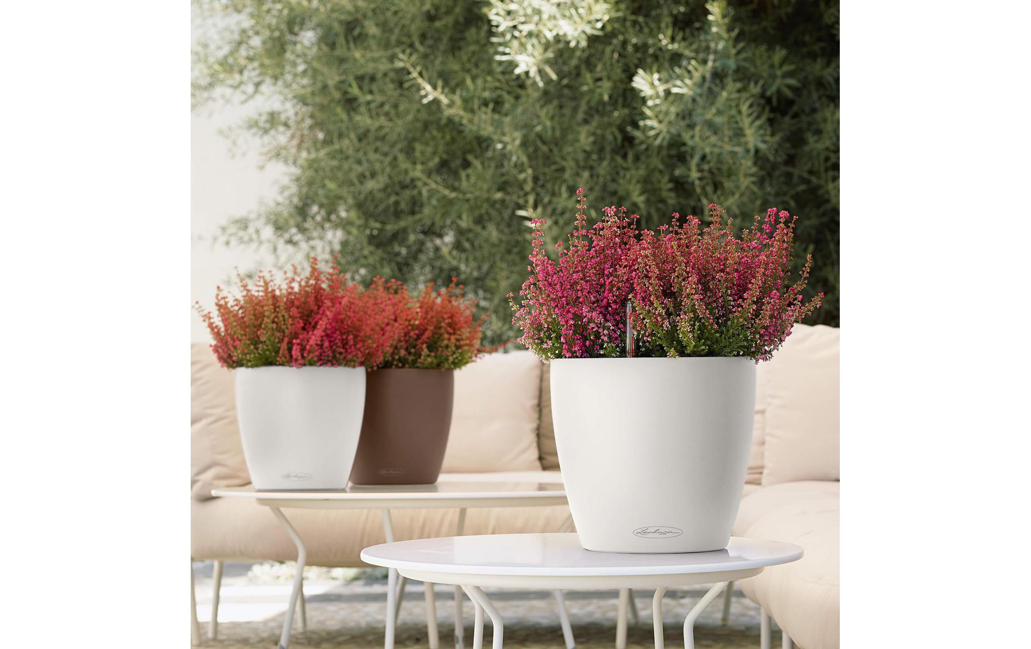 Pflanzentopf CLASSICO Color 21 BraunTopf