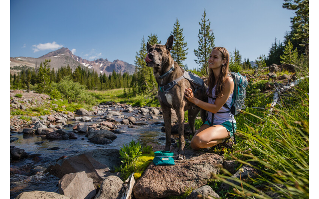 Ruffwear Quencher Hundenapf für unterwegs