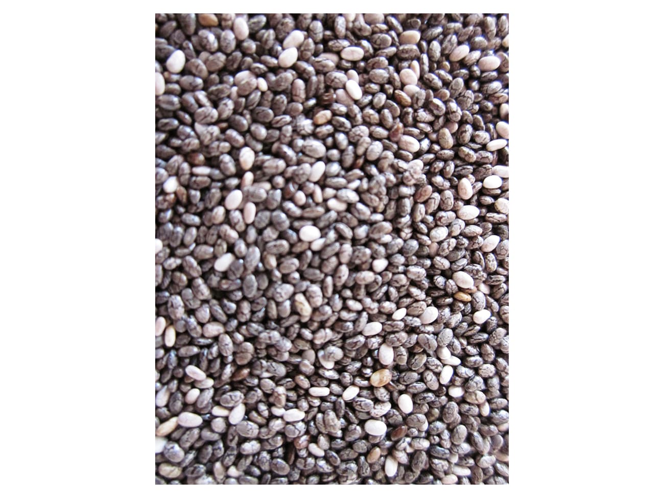 Graines de chia 1 kg - Ingredissimo