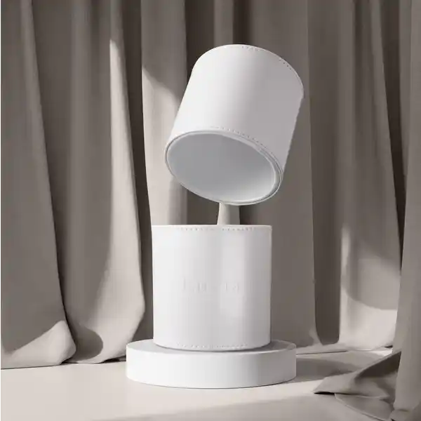 Magnetic Brush Case