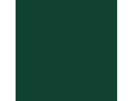 VIDAXL - Abri de jardin avec toit prolongé vert 277x110,5x181 cm acie...