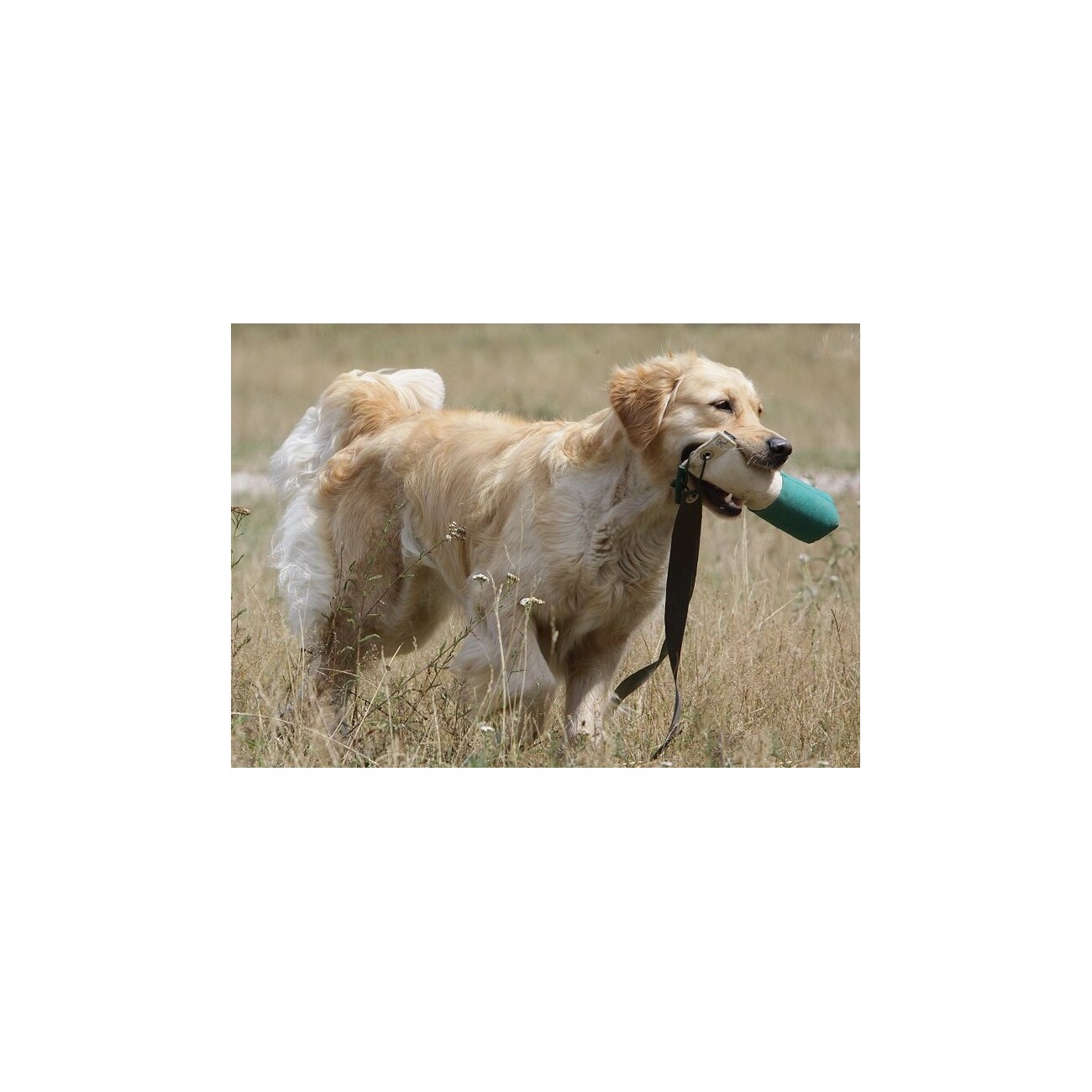 ROMNEYS Dummy Longtail Marker 500g