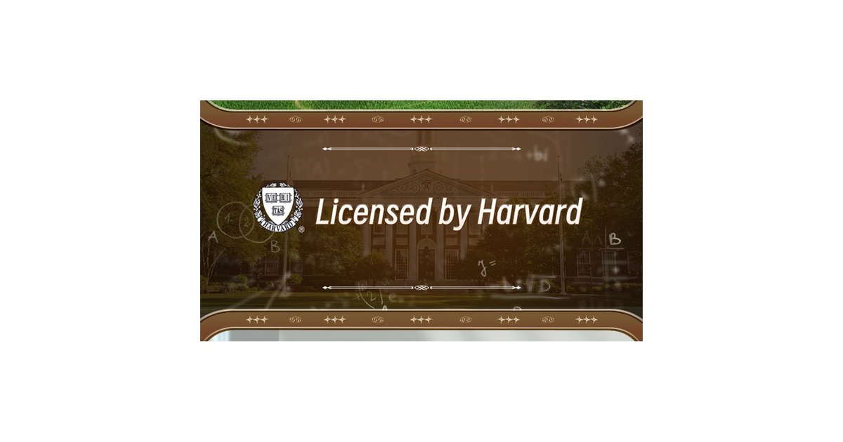 CaDABuilding - Harvard Business School Constructiespeelgoed  (C66016W)