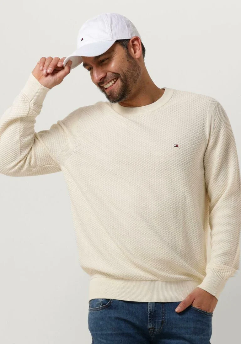 TOMMY HILFIGER beige tommy hilfiger trui oval structure crew neck