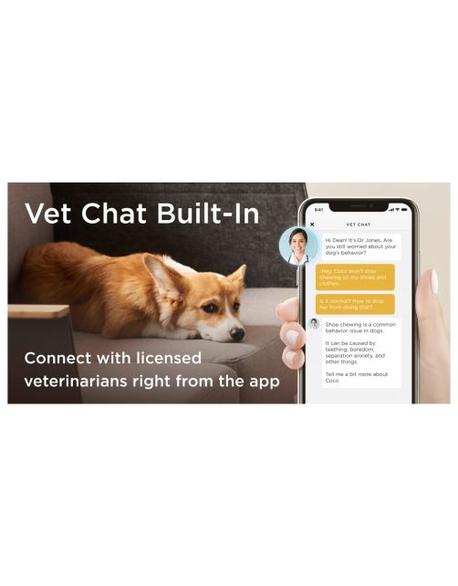 Petcube Pet Camera Met Treat Dispenser En App - IP Camera's - Wit