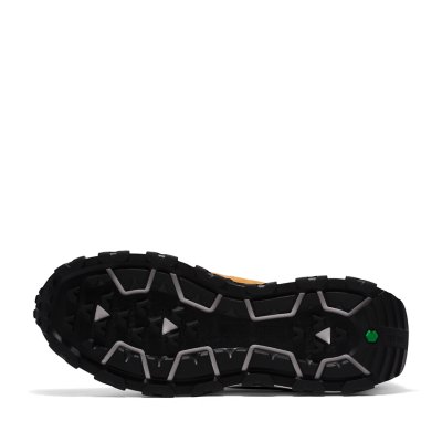 Sneakers homme Winsor Trail TIMBERLAND