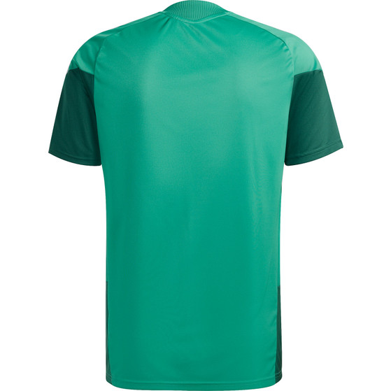 adidas Algerije Trainingsset WK 2026