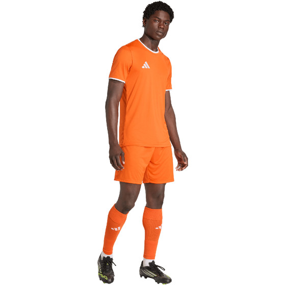 adidas Entrada 26 Trainingsset